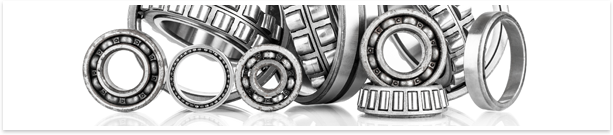 roller bearings 